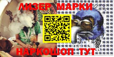 прущие грибы Новозыбков