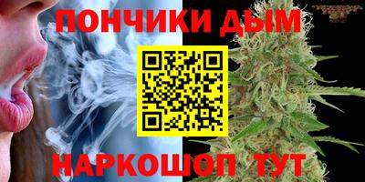 прущие грибы Новозыбков