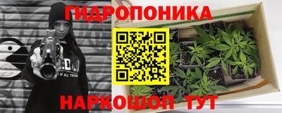 трава Новодвинск