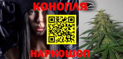 прущие грибы Новозыбков